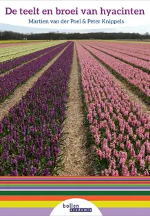 De teelt en broei van hyacinten