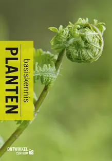 Planten basiskennis