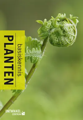 Planten basiskennis