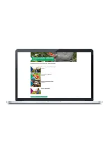 Profiel Groen | Groene vormgeving en verkoop online omgeving