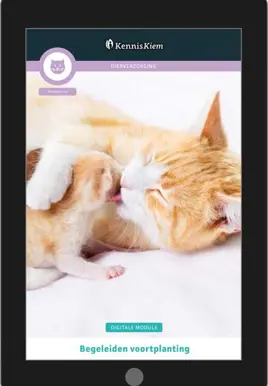 Digitale module Begeleiden voortplanting