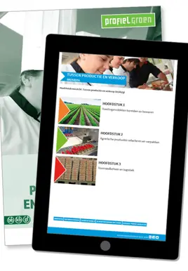 Tussen productie en verkoop online omgeving incl. werkboek