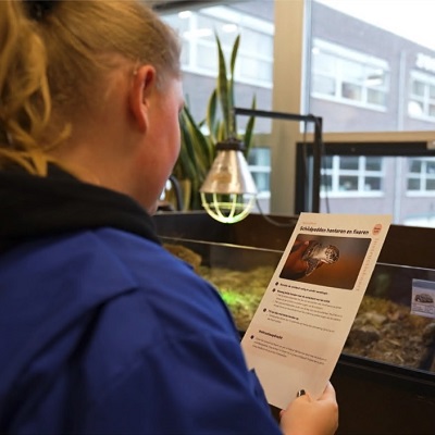 Animalis in de klas praktijkkaarten