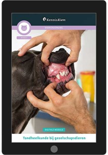 Digitale module Tandheelkunde