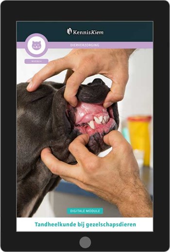 Digitale module Tandheelkunde