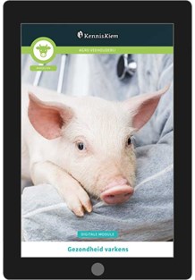 Digitale module Gezondheid varkens