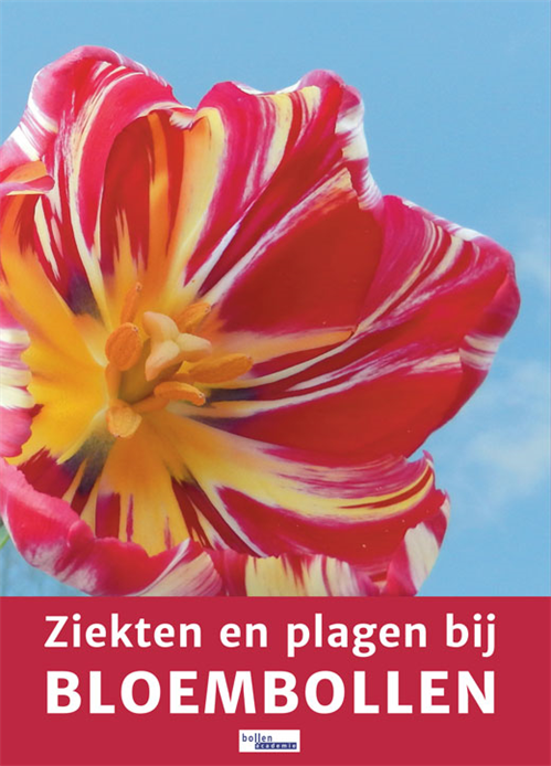 Ziekten en plagen bij bloembollen
