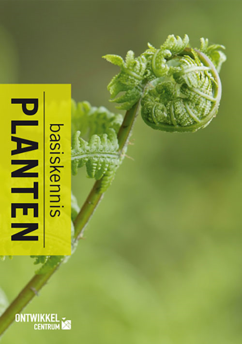 Planten basiskennis