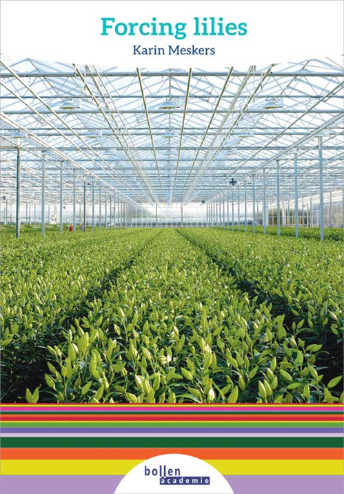 Forcing Lilies 