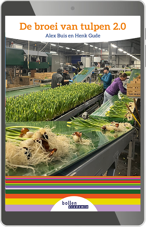 Broei van tulpen 2.0 - digitaal