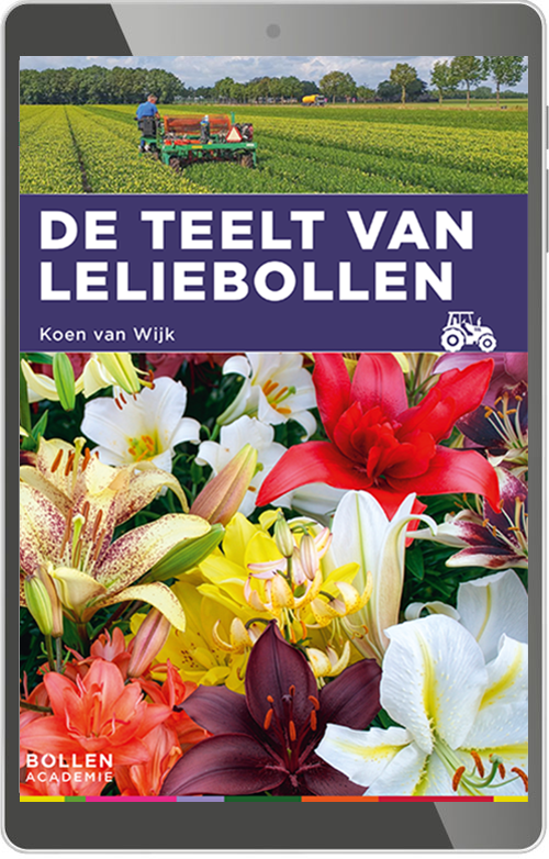 De teelt van leliebollen - digitaal