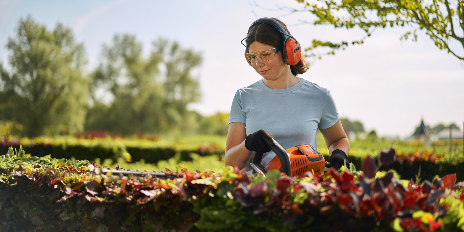 Viridis: complete methode voor mbo Groene ruimte